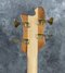 Rickenbacker 4004/4 Cii, Mapleglo: Headstock - Rear