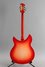 Rickenbacker 360/12 C63, Fireglo: Full Instrument - Rear