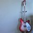 Rickenbacker 360/12 , Fireglo: Full Instrument - Front