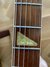 Rickenbacker 360/6 , Jetglo: Full Instrument - Rear