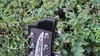 Rickenbacker 360/6 , Jetglo: Headstock