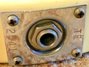 Rickenbacker 4001/4 S, White: Close up - Free