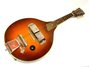 Rickenbacker Mandolin (hollow body)/8 VB, Two tone brown: Full Instrument - Front