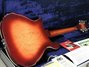 Rickenbacker 660/12 TP, Fireglo: Full Instrument - Rear