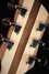 Rickenbacker 330/6 , Natural Walnut: Headstock - Rear