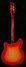 Rickenbacker 360/6 , Fireglo: Full Instrument - Rear