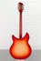 Rickenbacker 360/12 C63, Fireglo: Full Instrument - Rear