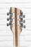 Rickenbacker 360/12 , Natural Walnut: Headstock - Rear