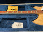 Rickenbacker 360/12 , Mapleglo: Neck - Front