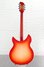 Rickenbacker 360/12 C63, Fireglo: Full Instrument - Rear