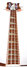 Rickenbacker 4001/4 , Autumnglo: Free image2