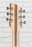 Rickenbacker 360/6 , Mapleglo: Headstock - Rear