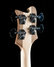 Rickenbacker 4003/4 S, Natural Walnut: Headstock - Rear