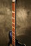 Rickenbacker 370/6 , Midnightblue: Neck - Front