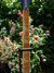 Rickenbacker 4003/4 BH BT, Jetglo: Neck - Front