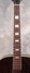 Rickenbacker SP/6 Wood body, Two tone brown: Neck - Front