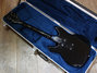 Rickenbacker 230/6 GF, Jetglo: Full Instrument - Rear