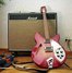 Rickenbacker 330/12 , Fireglo: Full Instrument - Front