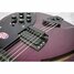 Rickenbacker 330/6 BH BT, Midnight Purple: Free image