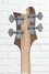 Rickenbacker 4003/4 AC Al Cisneros model, Natural Walnut: Headstock - Rear