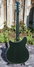 Rickenbacker 360/12 , Jetglo: Full Instrument - Rear