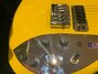 Rickenbacker 650/6 Dakota, TV Yellow: Free image