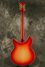 Rickenbacker 360/12 C63, Fireglo: Full Instrument - Rear