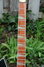 Rickenbacker 360/6 V64, Jetglo: Neck - Front