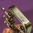 Rickenbacker NS 100/6 LapSteel, Silver: Close up - Free