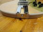 Rickenbacker 660/12 , Mapleglo: Close up - Free2