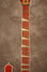 Rickenbacker 660/12 , Fireglo: Neck - Front