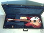 Rickenbacker 330/6 VP, Fireglo: Full Instrument - Front