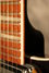 Rickenbacker 660/6 75th Ann, DCMetallic: Close up - Free