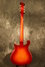 Rickenbacker 660/12 , Amber Fireglo: Full Instrument - Rear