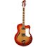 Rickenbacker 360/6 F, Fireglo: Full Instrument - Front