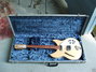 Rickenbacker 330/12 , Mapleglo: Free image