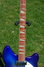 Rickenbacker 360/12 VP, Blueburst: Neck - Front