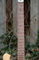 Rickenbacker 425/6 , Mapleglo: Neck - Front