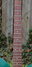 Rickenbacker 450/6 Combo, Cloverfield Green: Neck - Front
