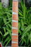 Rickenbacker 381/12 V69, Fireglo: Neck - Front