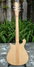 Rickenbacker 660/12 , Mapleglo: Full Instrument - Rear