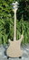 Rickenbacker 4003/4 , Desert Gold: Full Instrument - Rear