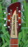 Rickenbacker 660/12 VP, MonteBrown: Headstock