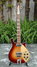 Rickenbacker 660/12 VP, MonteBrown: Full Instrument - Front