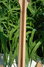 Rickenbacker 330/12 , Mapleglo: Neck - Rear