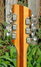 Rickenbacker 330/12 , Mapleglo: Headstock - Rear