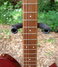 Rickenbacker 450/6 Combo, Red: Neck - Front