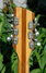 Rickenbacker 336/12 , Mapleglo: Headstock - Rear