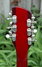 Rickenbacker 660/12 , Burgundy: Headstock - Rear