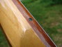 Rickenbacker 3001/4 FL, Walnut: Free image2